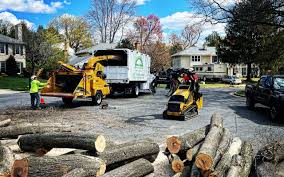 Best Tree Health Inspection  in Sneads, FL
